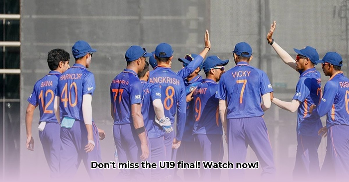 u19-final-live-streaming
